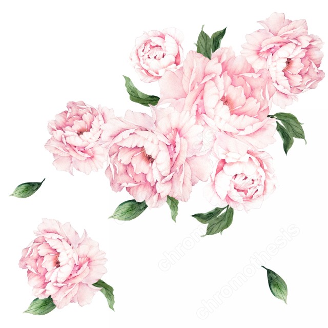 Watercolor Παιώνιες XL (7 τεμ) 127906 127906_226