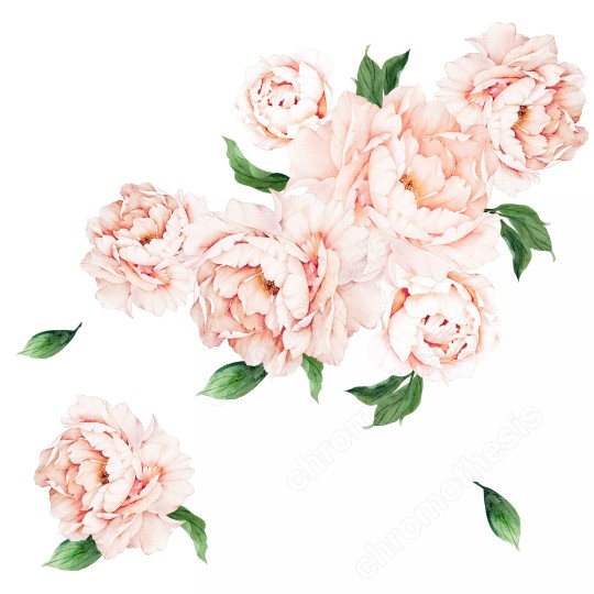 Watercolor Παιώνιες XL (7 τεμ) 127906 127906_227