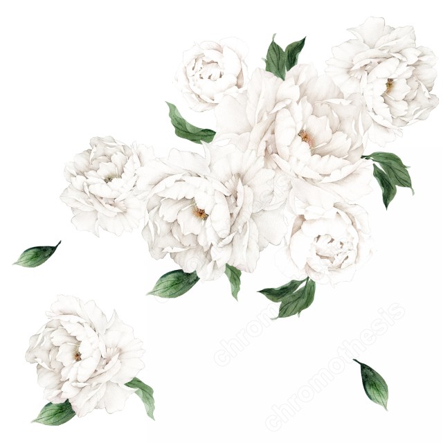 Watercolor Παιώνιες XL (7 τεμ) 127906 127906_229