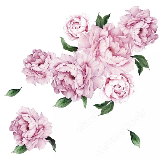 Watercolor Παιώνιες XL (7 τεμ) 127906 127906_230