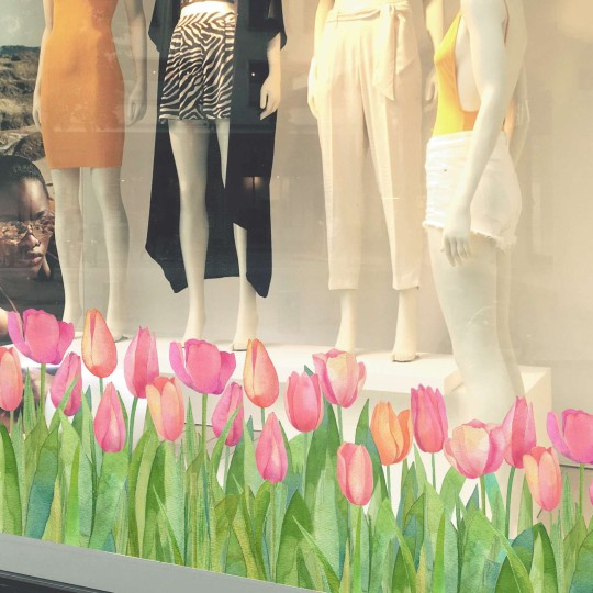 Αυτοκόλλητο βιτρίνας Spring tulips 11002