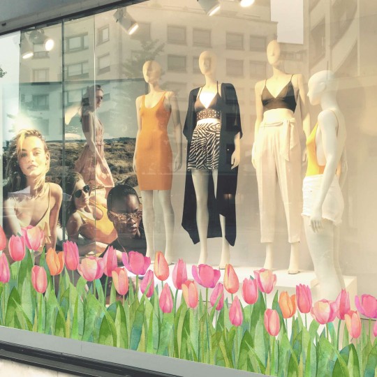 Αυτοκόλλητο βιτρίνας Spring tulips 11002-0