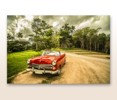 Πίνακας Vintage Car 118017