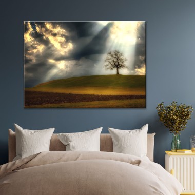 Πίνακας Lonely Tree 116129 2