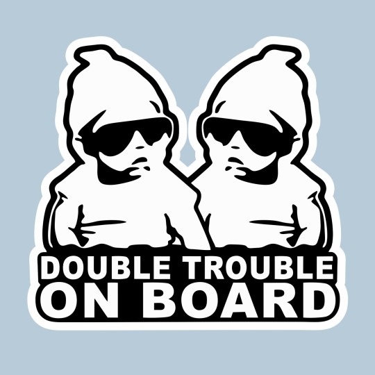 Αυτοκόλλητο αυτοκινήτου Double trouble on Board 20080