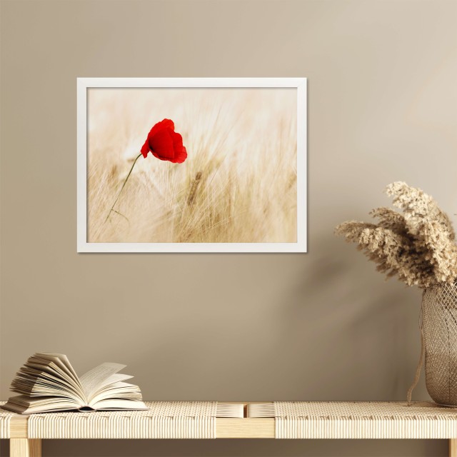 Αφίσα κόκκινη Παπαρούνα σε χωράφι 8033