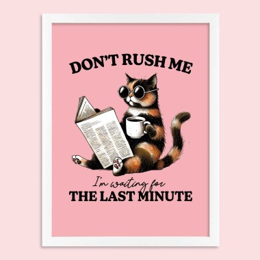 Αφίσα με αστεία γάτα 5026