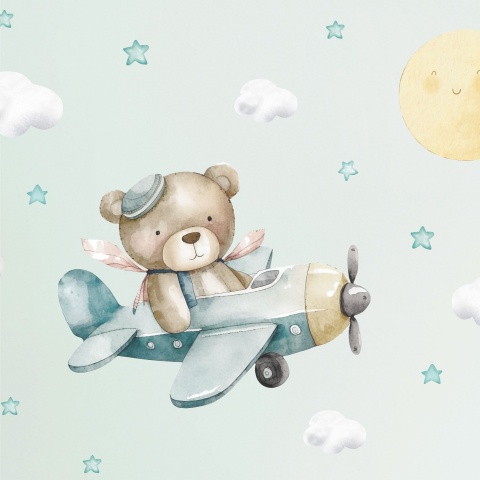 bear-airplane5