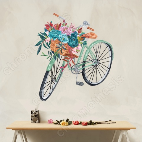 bicycle1