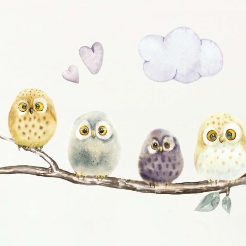 owls-fluffy5_669501918